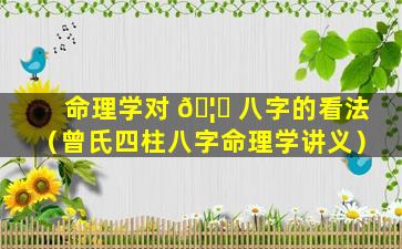 命理学对 🦅 八字的看法（曾氏四柱八字命理学讲义）